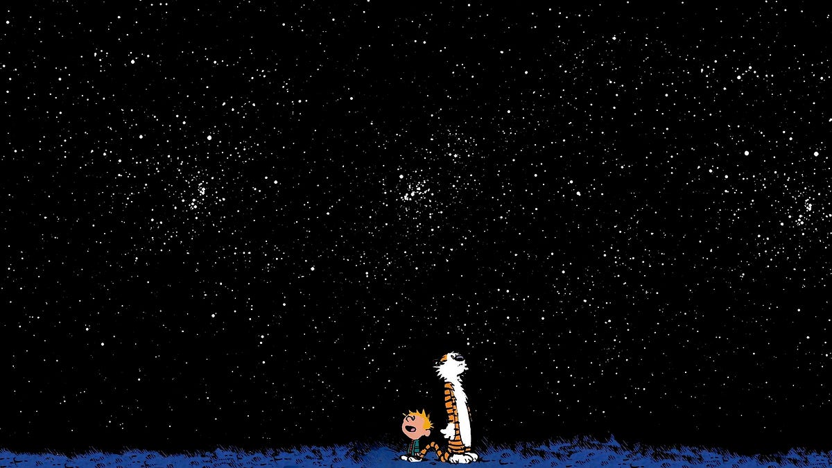 Calvin and Hobbes looking into space